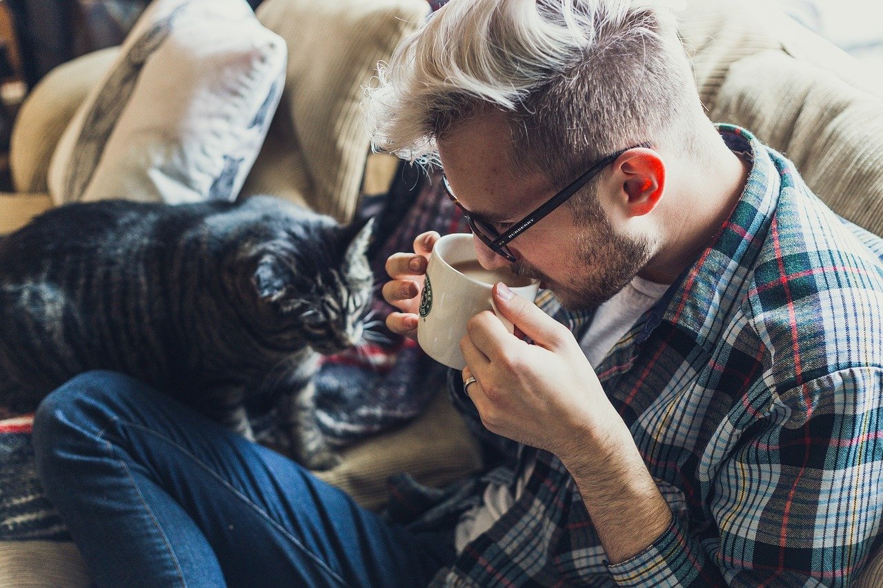 Man Sofa Coffee Mug Cup Drink Drinking Coffee